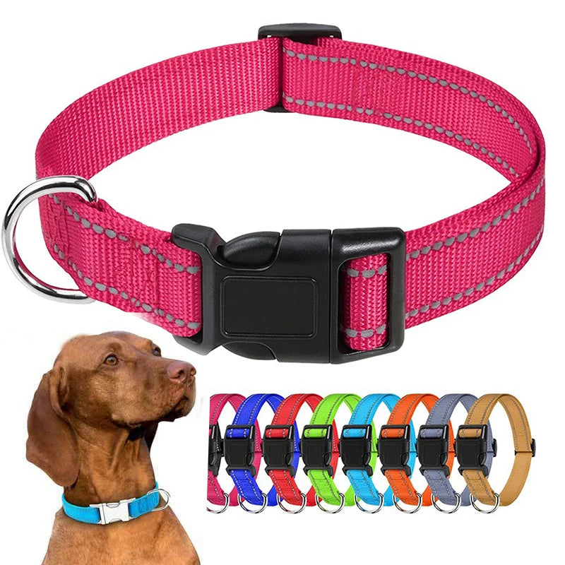 Dog Collar