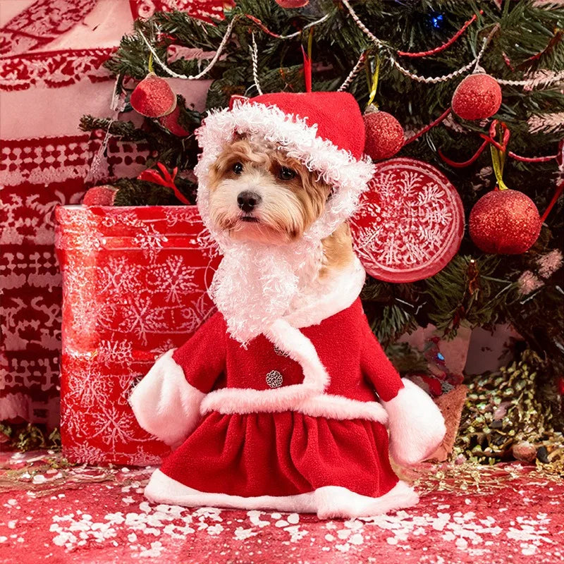 Christmas Pet Santa Costume