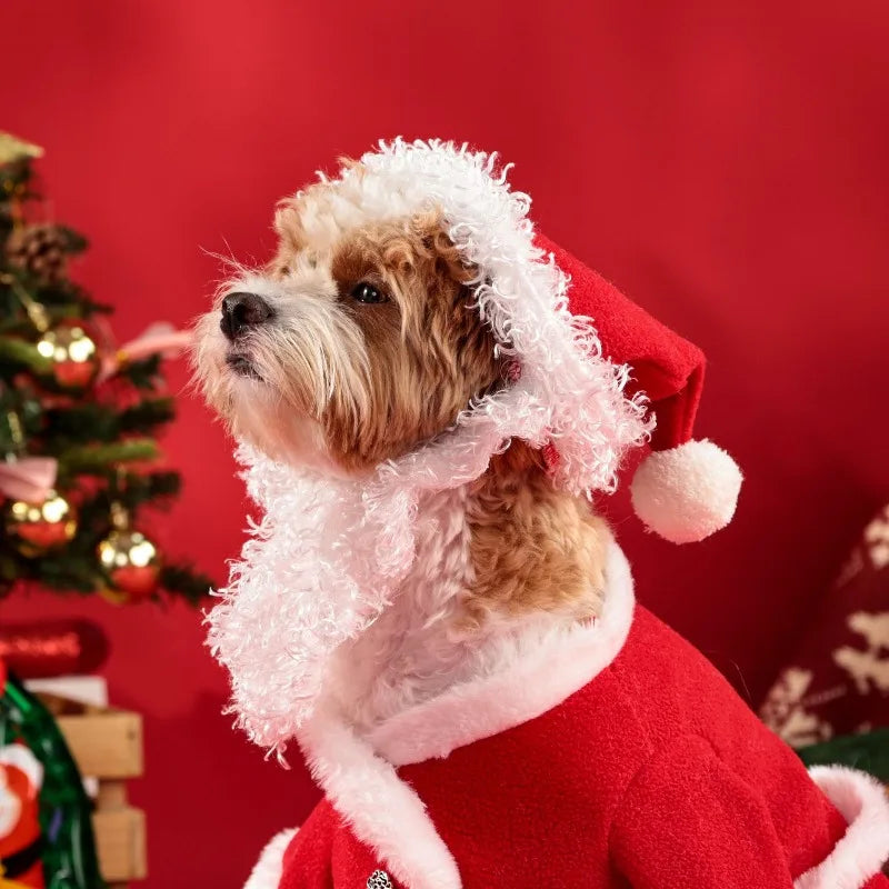 Christmas Pet Santa Costume