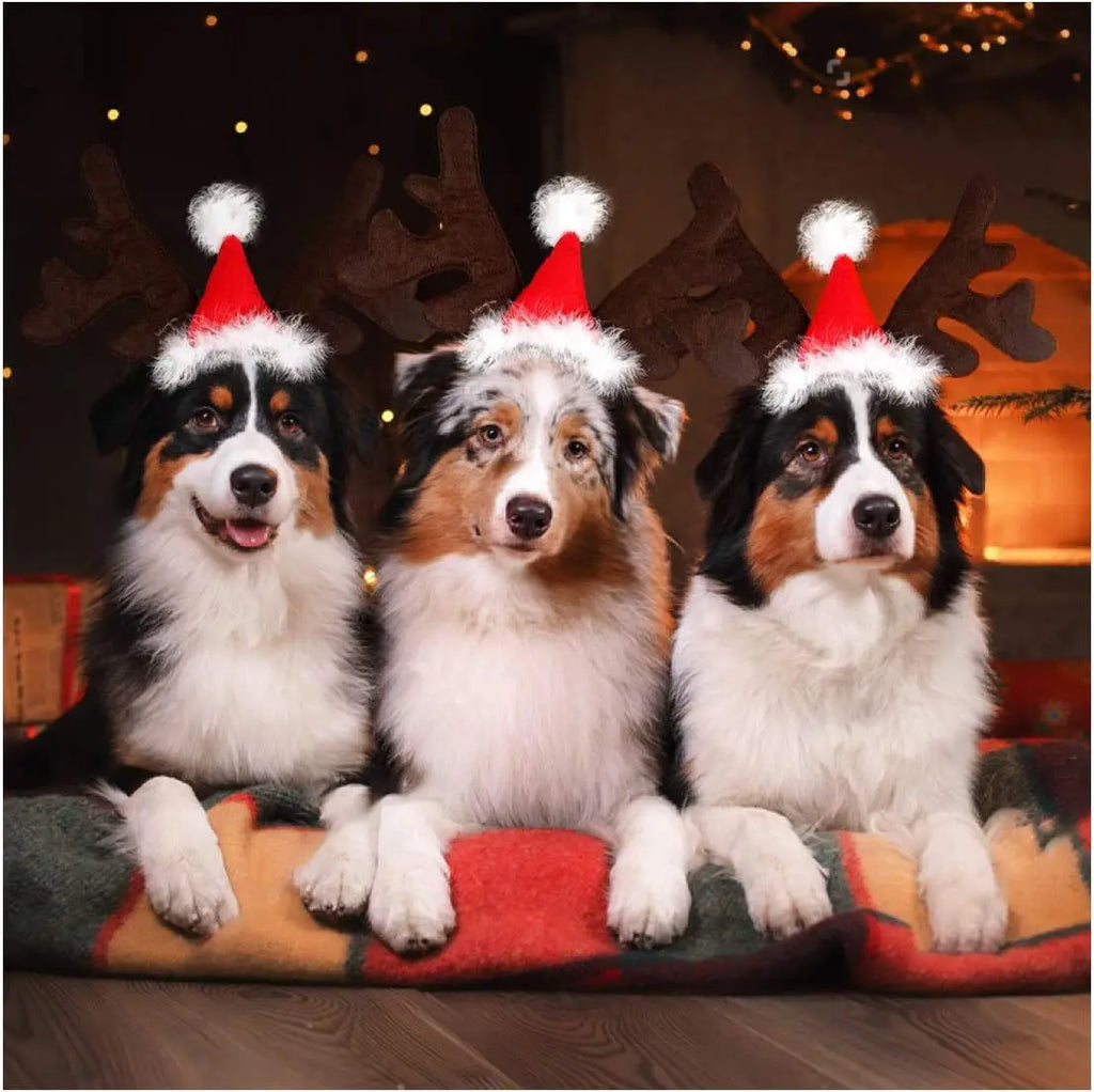 Christmas Pet Headwear