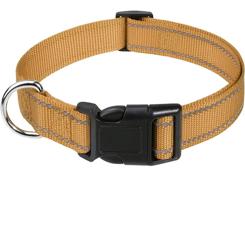 Dog Collar