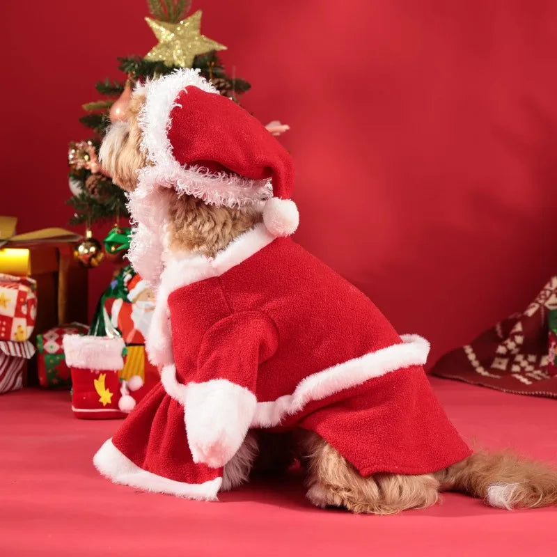 Christmas Pet Santa Costume