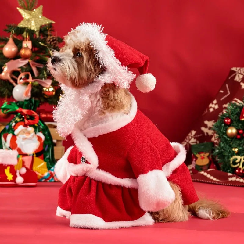 Christmas Pet Santa Costume