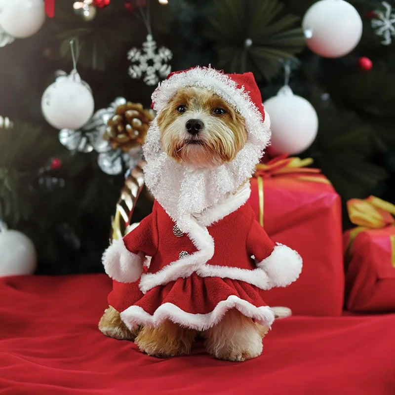Christmas Pet Santa Costume