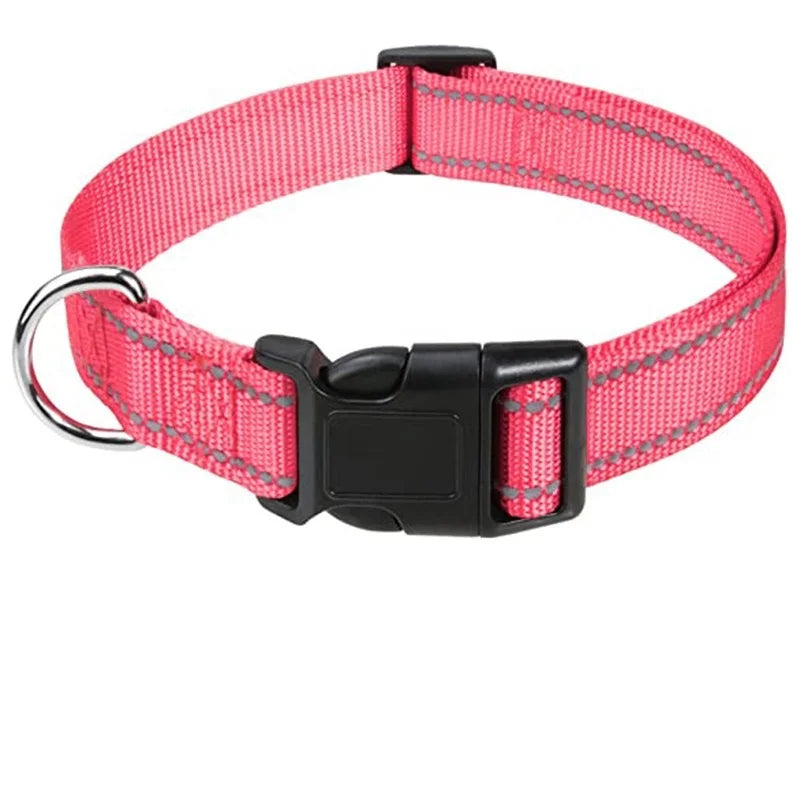 Dog Collar