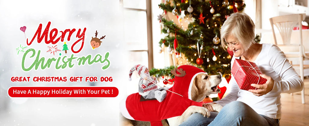 Santa Claus Dog & Cat Costume Set - Holiday Riding Outfit for Small, Medium & Large Dogs & Cats (Christmas Party Dress-Up)