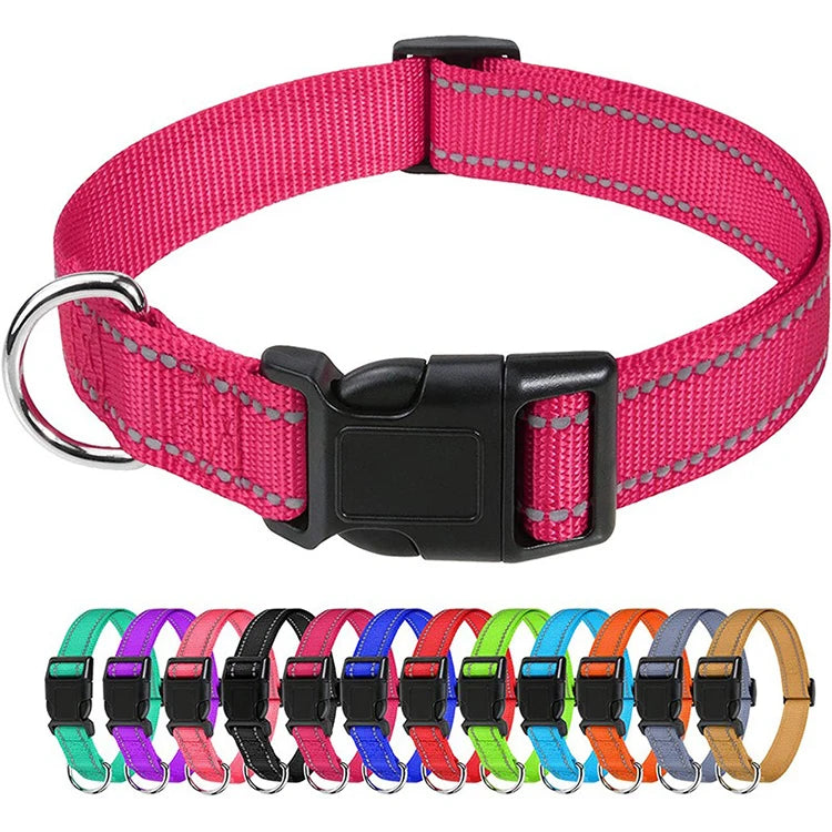Dog Collar