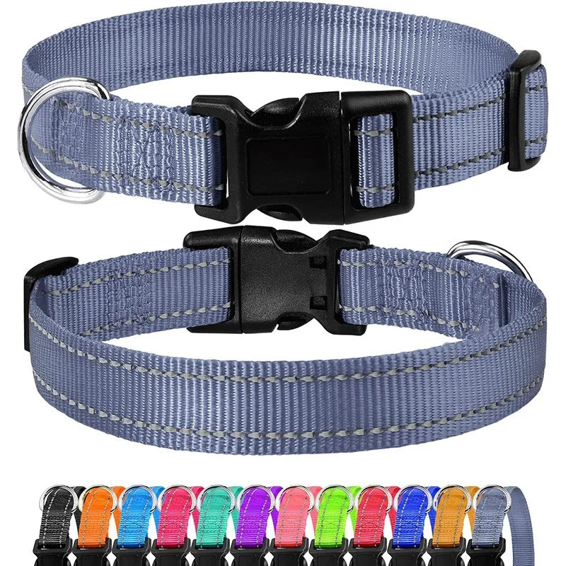 Dog Collar
