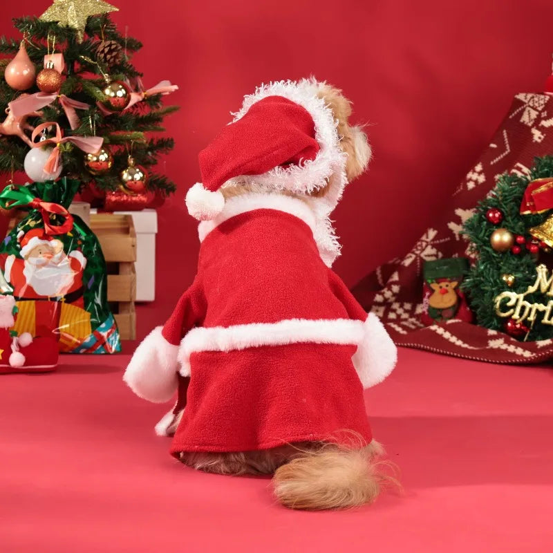Christmas Pet Santa Costume