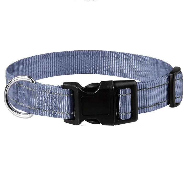 Dog Collar