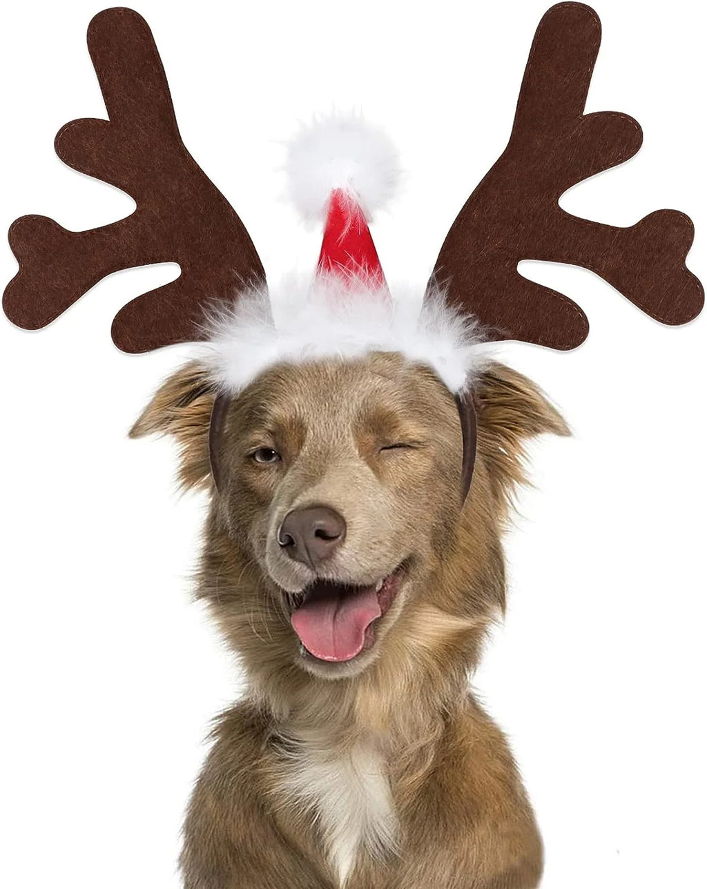 Christmas Pet Headwear