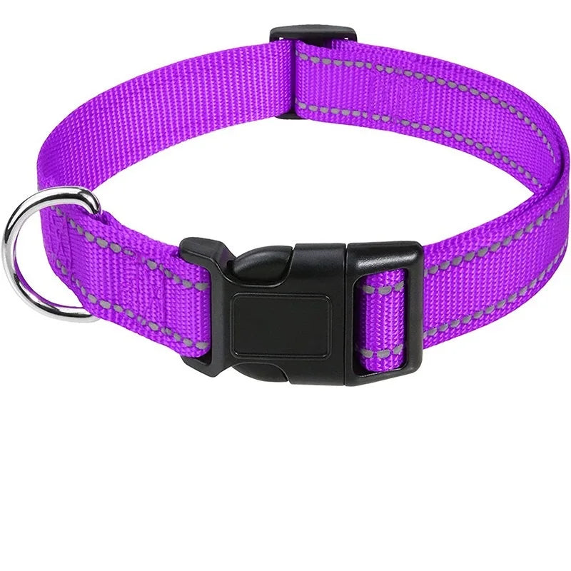 Dog Collar