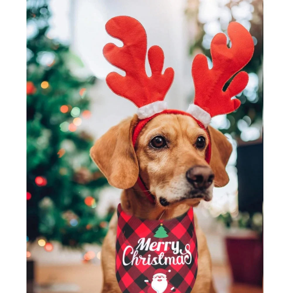 Christmas Dog Bandana