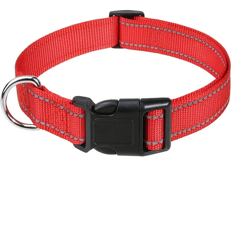 Dog Collar