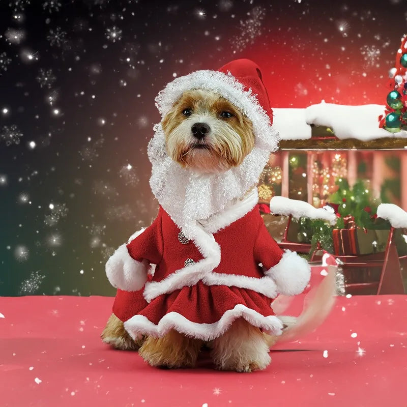 Christmas Pet Santa Costume