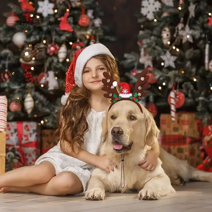 Christmas Pet Headwear