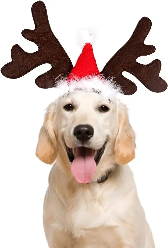 Christmas Pet Headwear