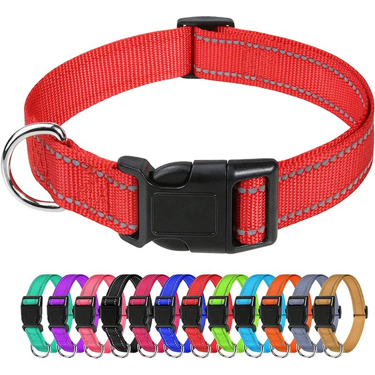 Dog Collar