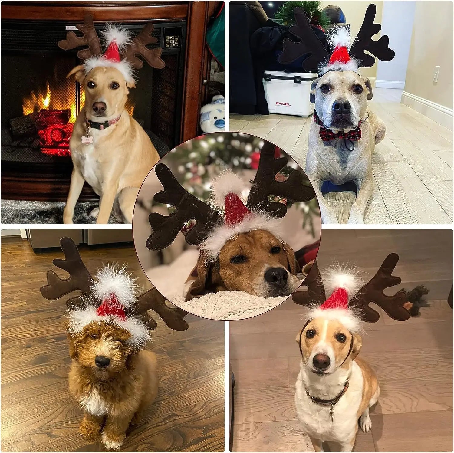 Christmas Pet Headwear