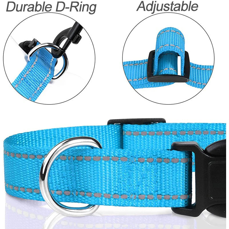 Dog Collar