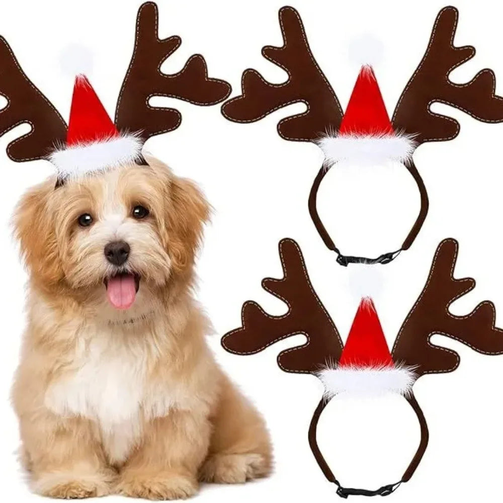 Christmas Pet Headwear