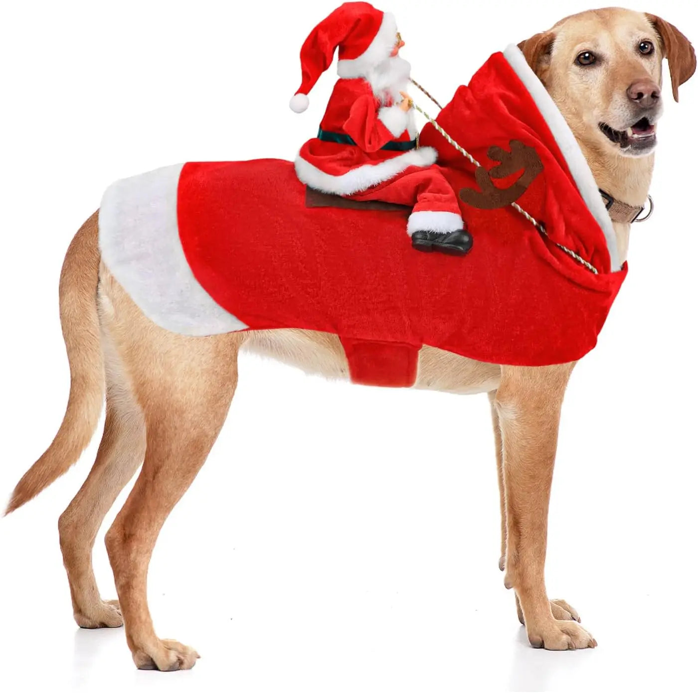 Santa Claus Dog & Cat Costume Set - Holiday Riding Outfit for Small, Medium & Large Dogs & Cats (Christmas Party Dress-Up)