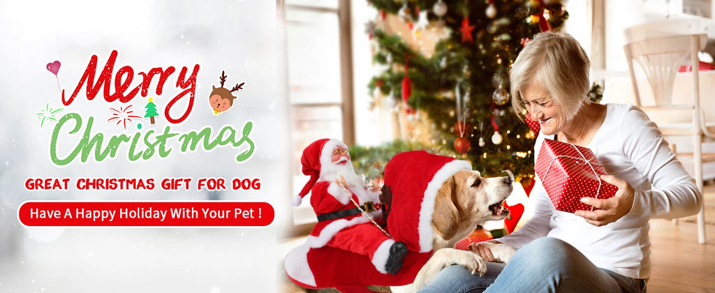 Santa Claus Dog & Cat Costume Set - Holiday Riding Outfit for Small, Medium & Large Dogs & Cats (Christmas Party Dress-Up)