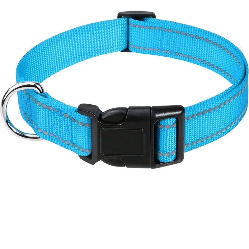 Dog Collar