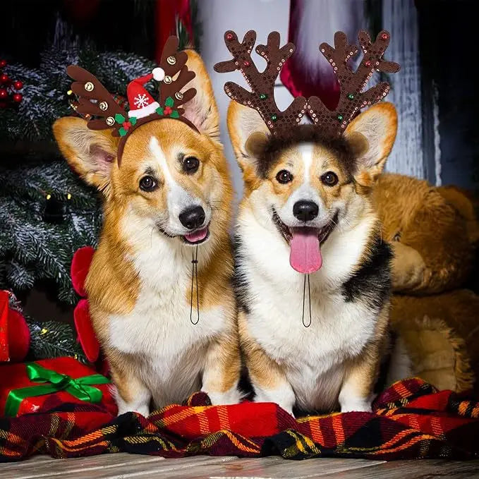 Christmas Pet Headwear