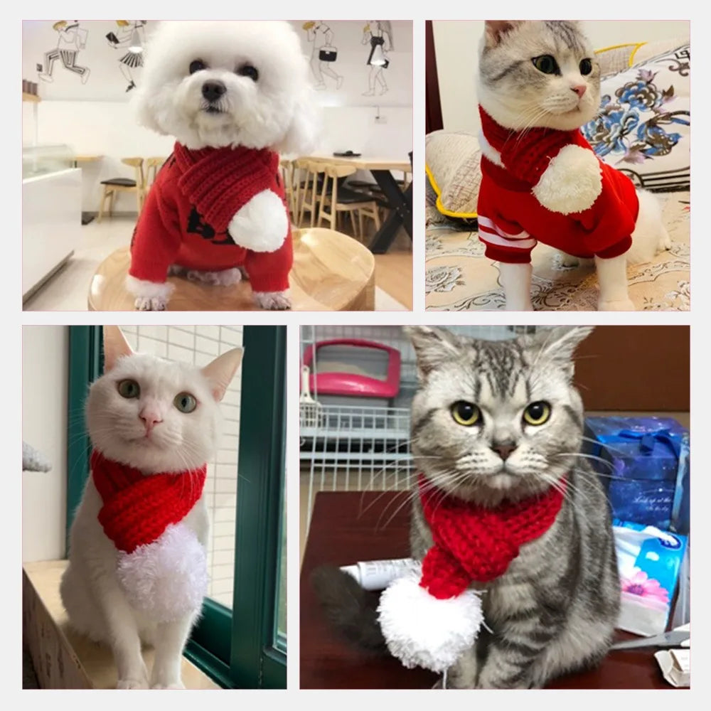 Pet Christmas Hat & Scarf Set