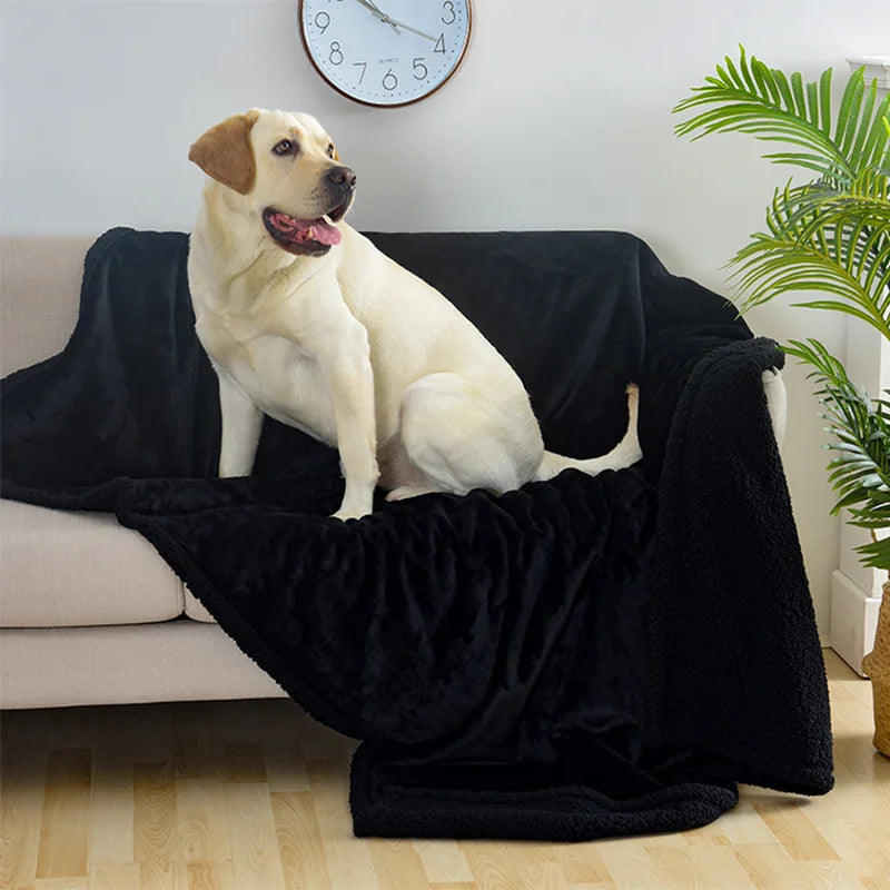 Pet Soft Flannel & Sherpa Blanket